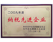 2009年纳税先进企业